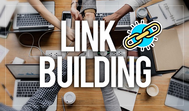 SEO agency Albany