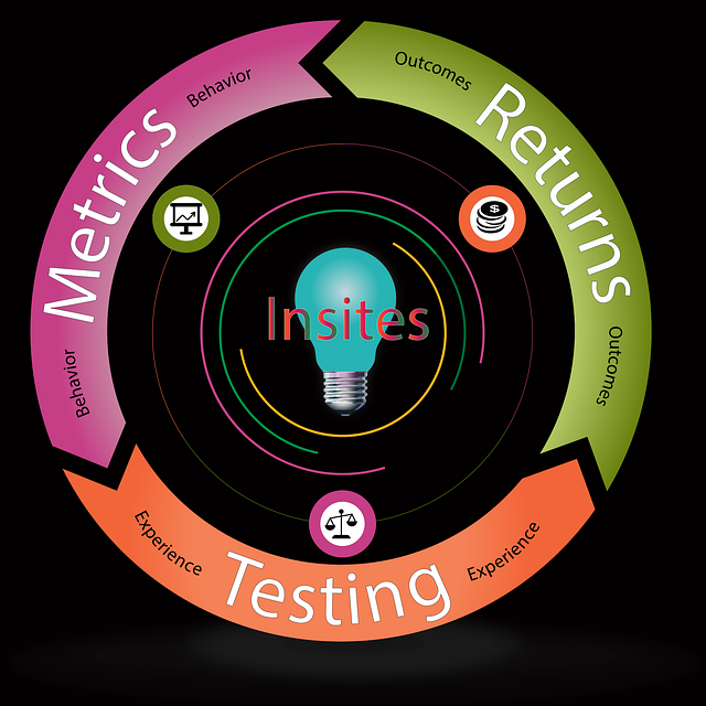 SEO agency Albany
