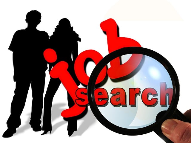 SEO agency Albany