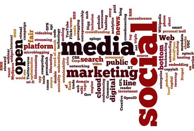 SEO company Albany