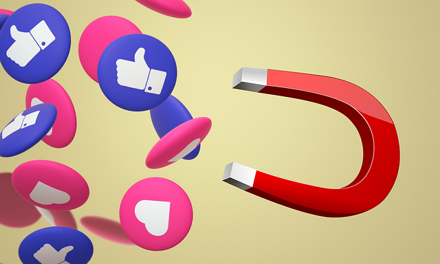 social media management agency Albany