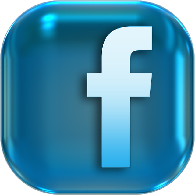 social media management agency Albany