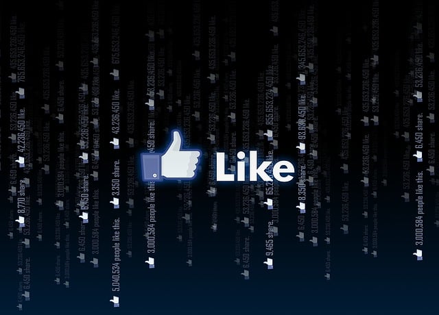 social media management agency Albany