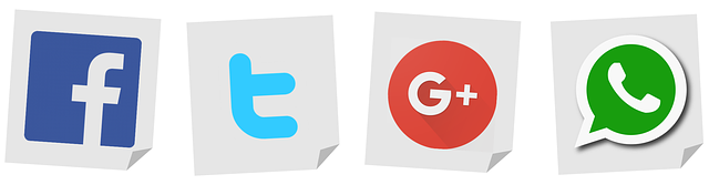 social-media-management-agency-albany-640x480-19671374.png
