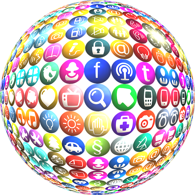 social media management agency Albany