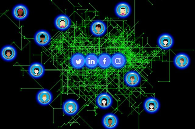 social media management agency Albany