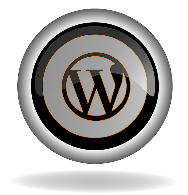 social media management agency Albany