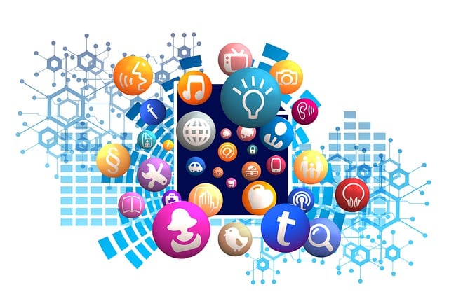 social media management agency Albany