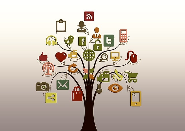 social-media-management-agency-albany-640x480-36702190.jpeg