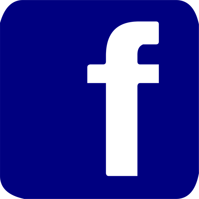 social media management agency Albany