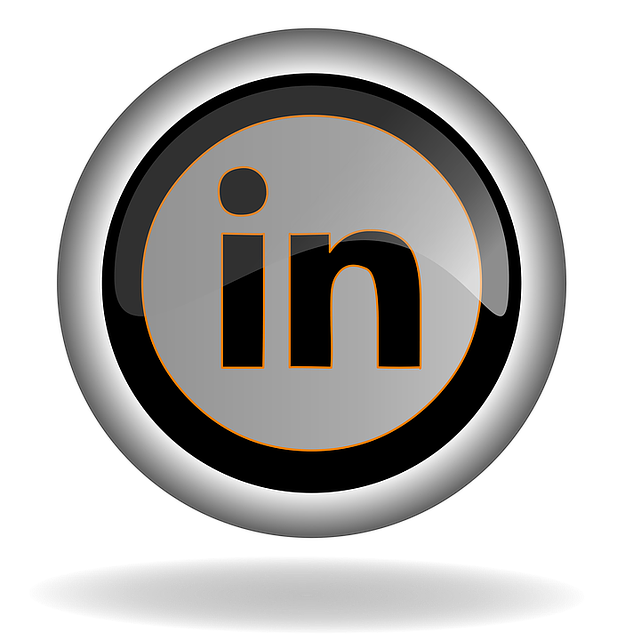 social media management agency Albany
