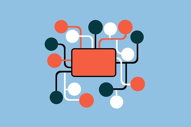 social media management agency Albany