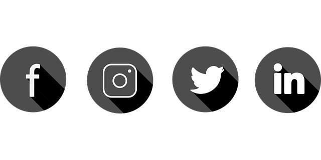 social media management agency Albany