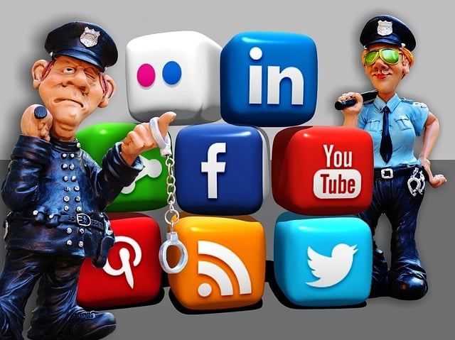 social media management agency Albany