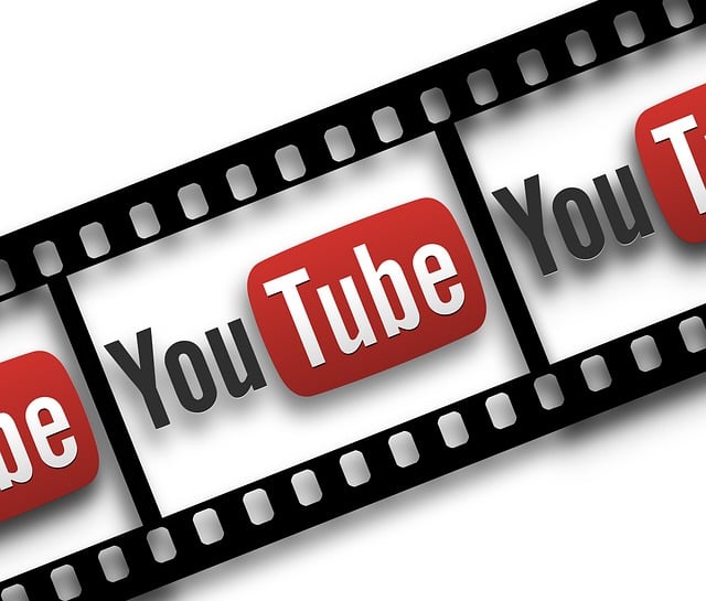 social media management agency Albany
