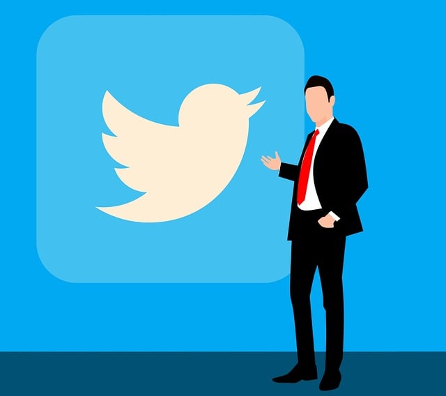 social media management agency Albany