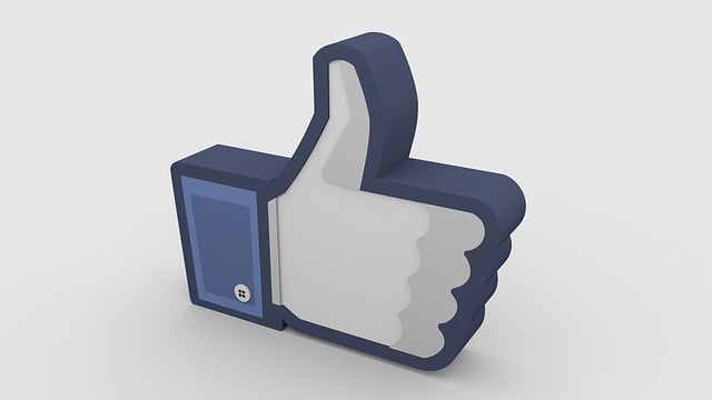 social media management agency Albany