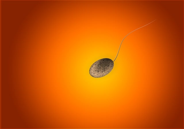 stem cell culture media