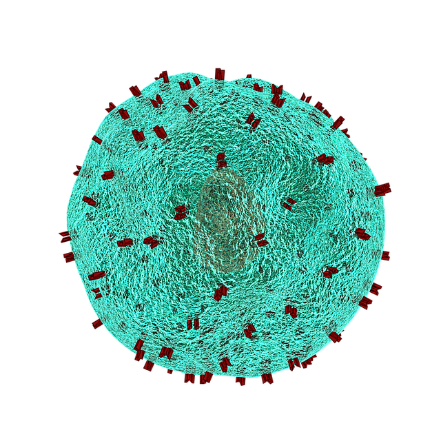 stem-cell-culture-media-640x480-37394995.png