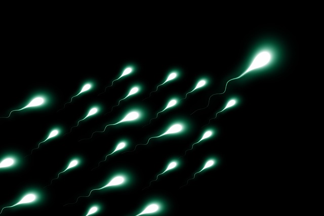 stem cell culture media