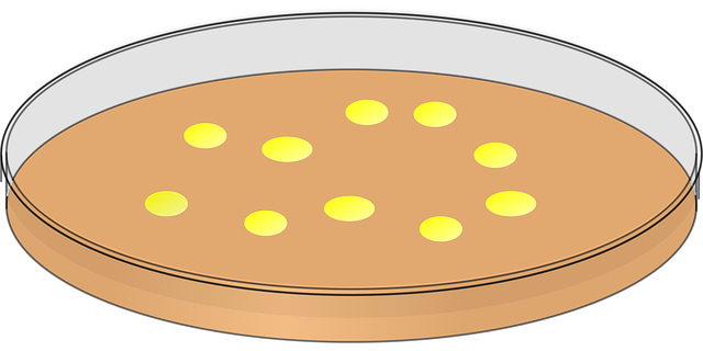 stem-cell-culture-media-640x480-54083627.png