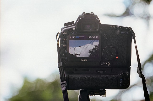 videographer Albany