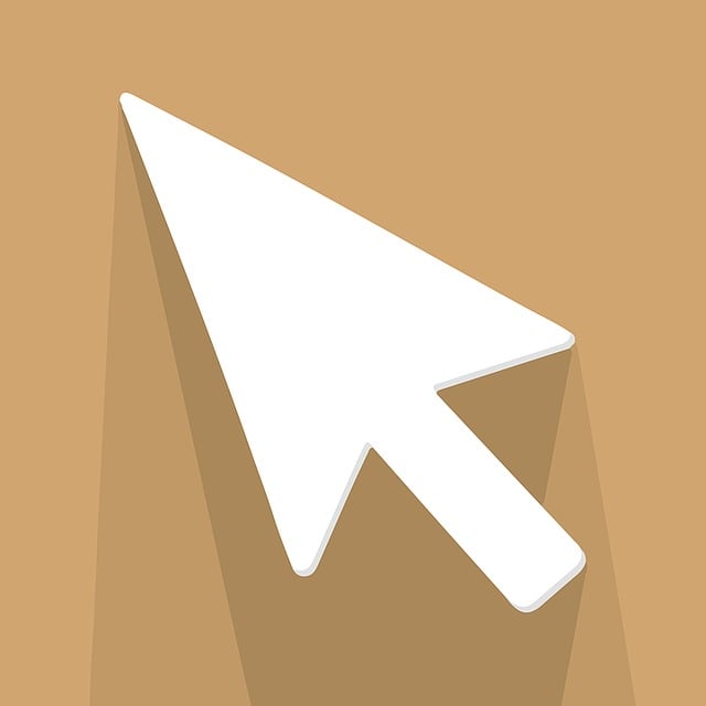 web design Albany