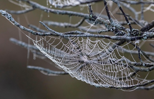 web design Albany