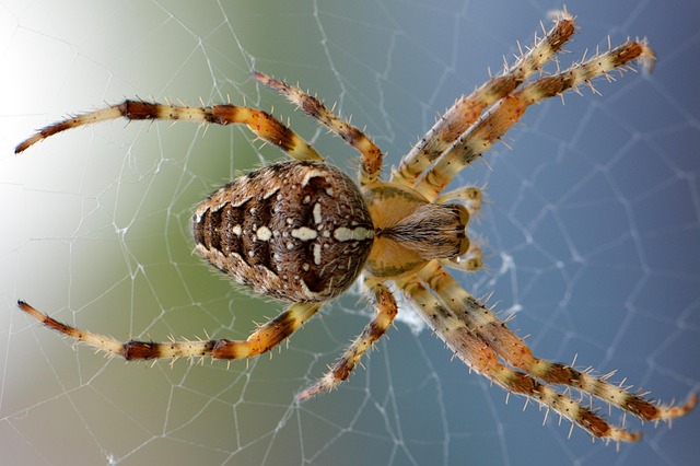 web design Albany
