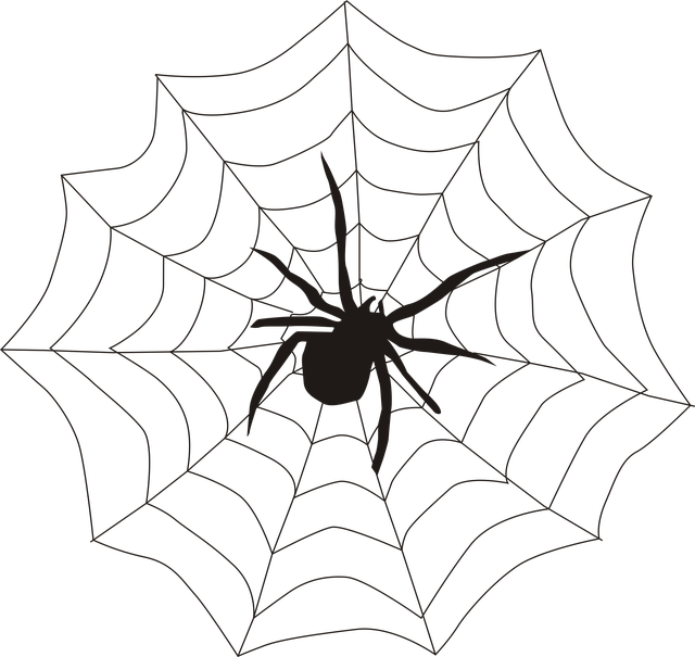 web design Albany