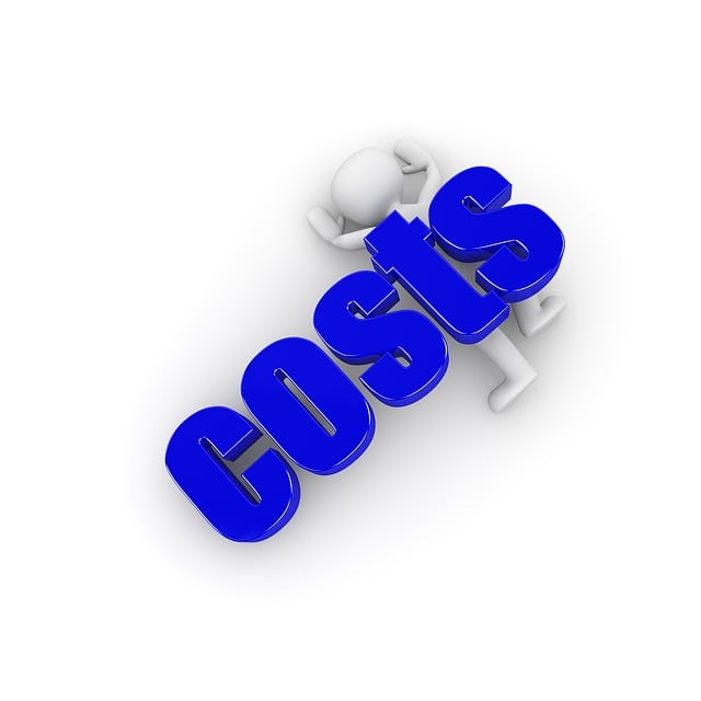 Albany Criminal Defense Cost Estimates