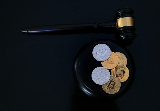 Albany Criminal Justice Legal Aid
