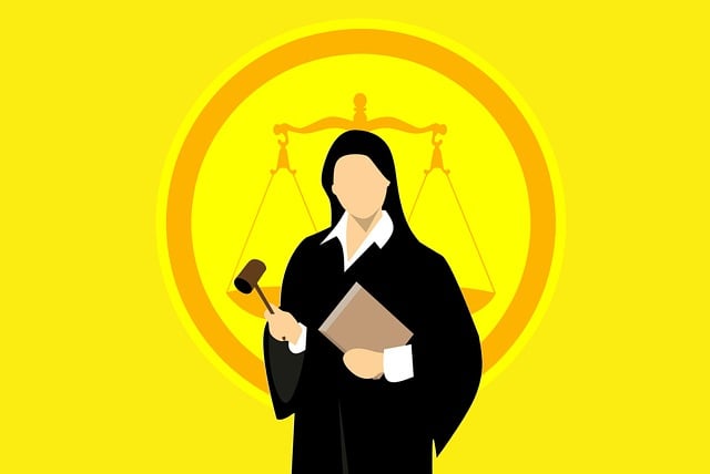 Albany Criminal Justice Legal Aid