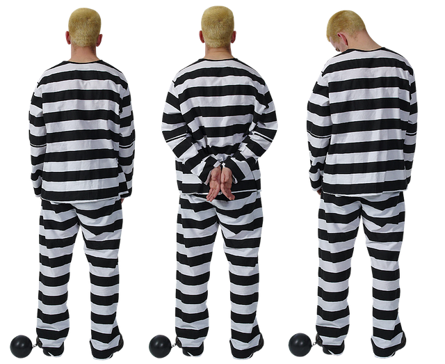 Albany Criminal Justice Legal Aid