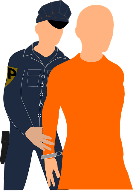 Albany Criminal Justice Legal Aid