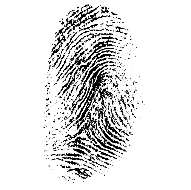 Albany NY Criminal Law Firm