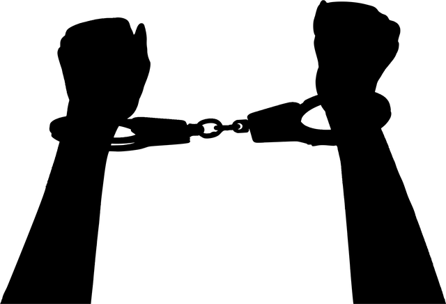 Albany NY Criminal Law Firm