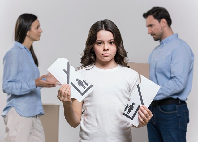Albany NY divorce lawyer