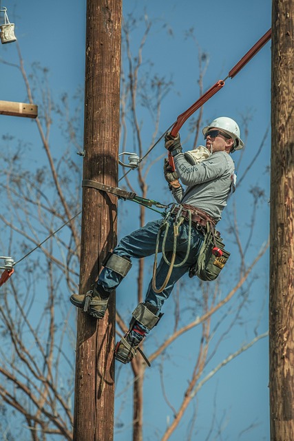 Albany workers comp process guide