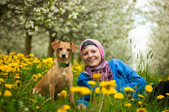 Apartments that allow dogs in Albany, NY