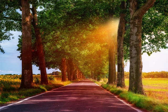 asphalt
