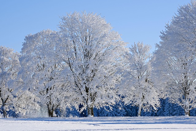 Banks in Williamsville NY