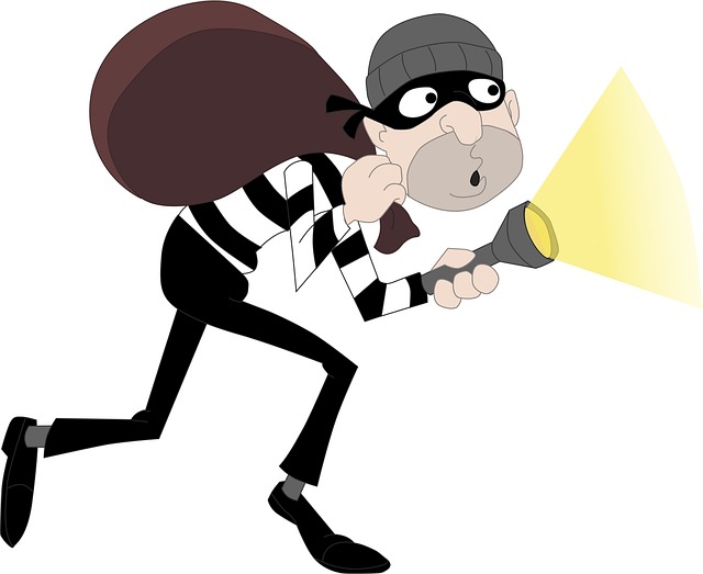 Best Criminal Defense Lawyer Albany