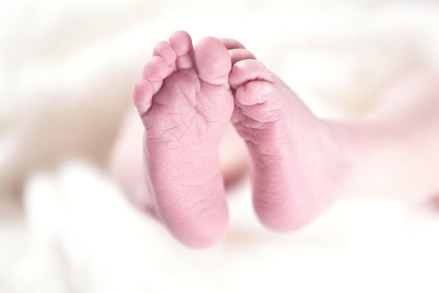 Child custody attorney Albany