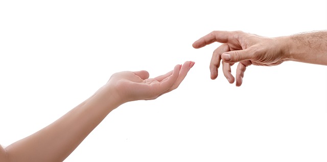 Child Support Lawyer Albany