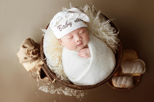 Child Support Lawyer Albany