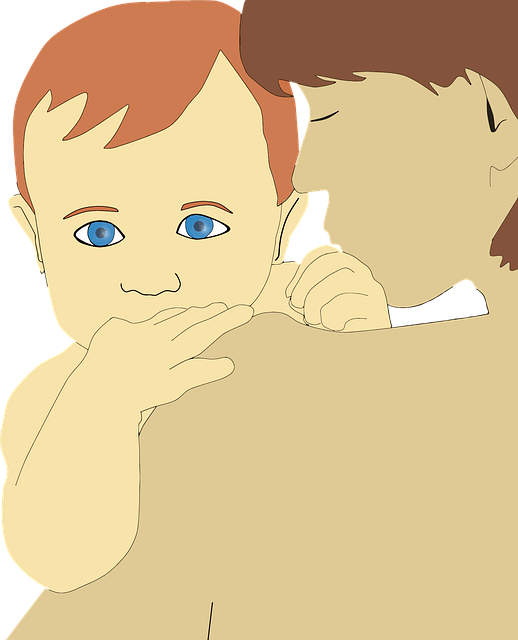 Child Support Lawyer Albany