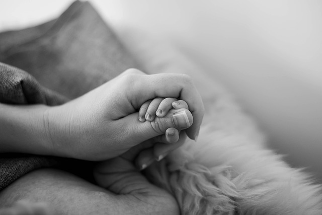 child-support-lawyer-albany-640x480-64245282.jpeg