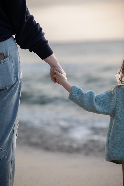 Child Support Lawyer Albany