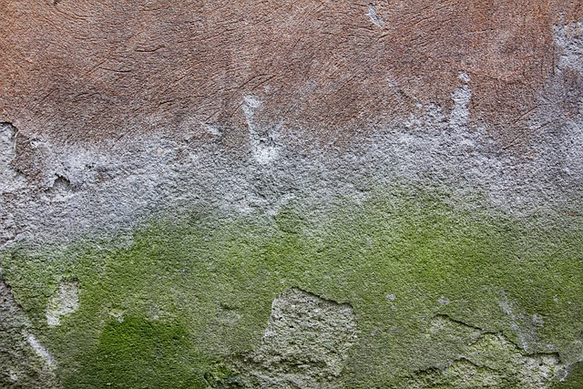 concrete paving